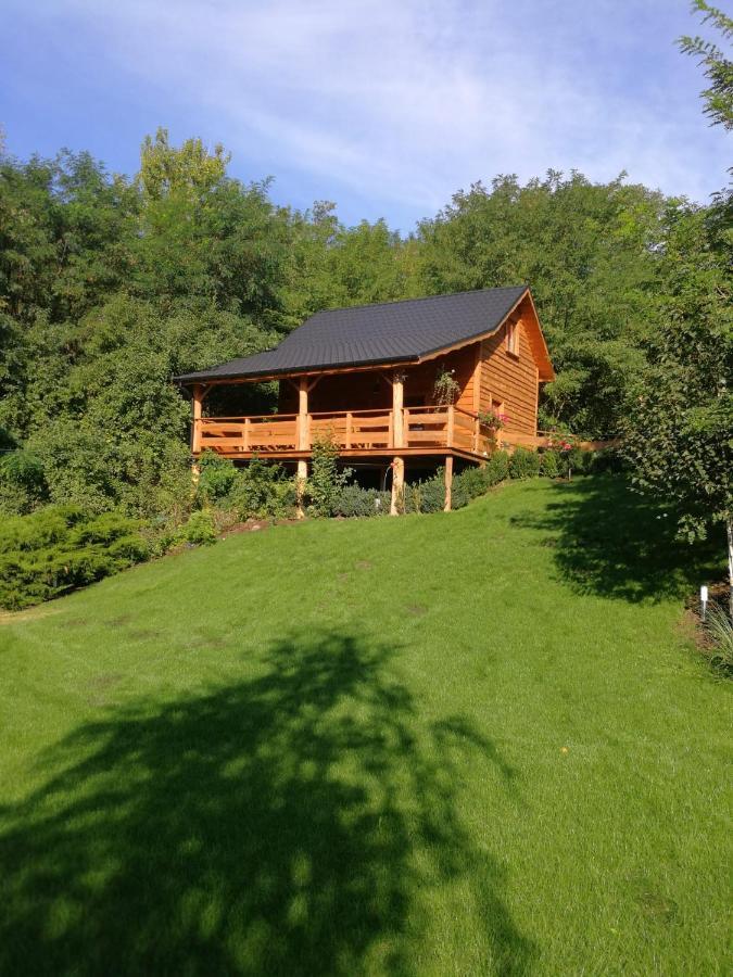 Villa Eden Ślesin Exteriör bild