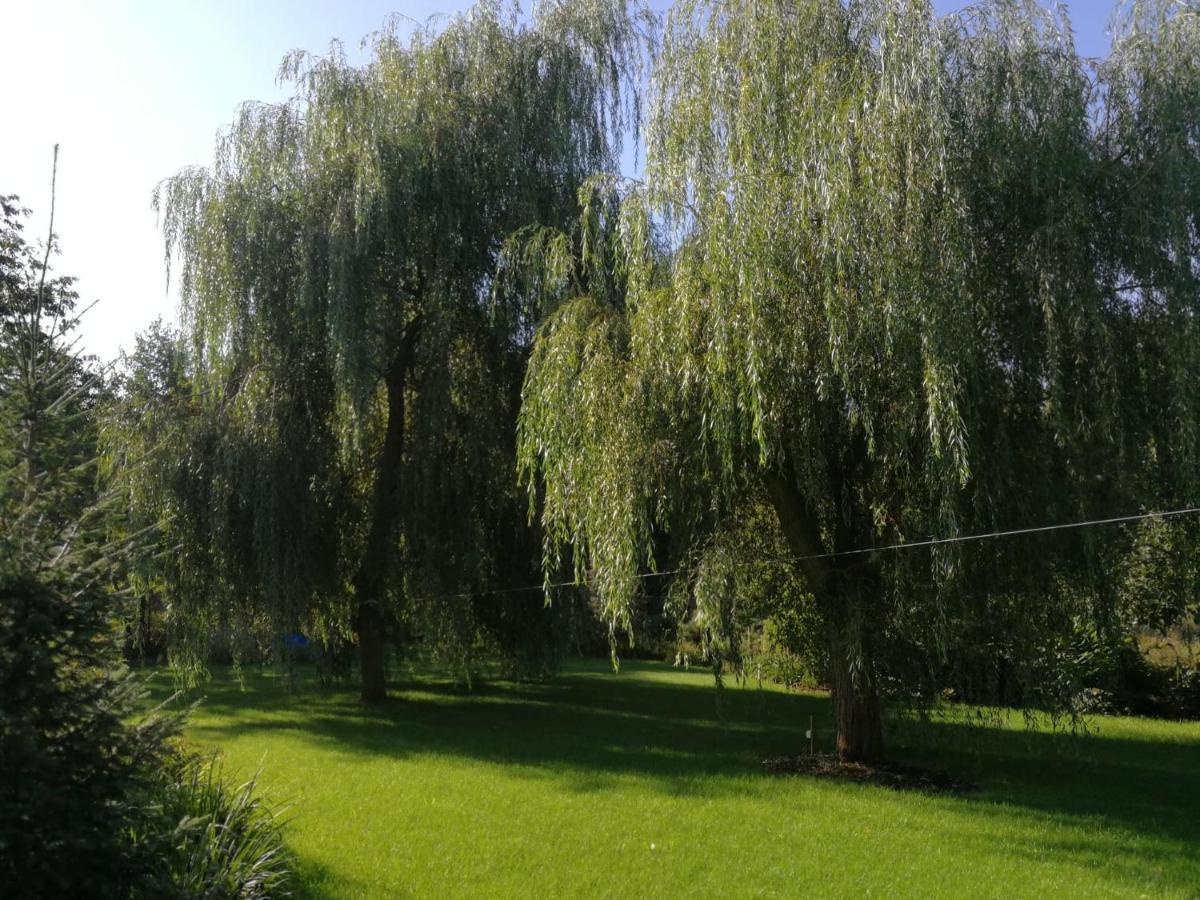 Villa Eden Ślesin Exteriör bild